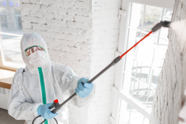 Environmental Consulting for Mold Prevention in Hart, MI