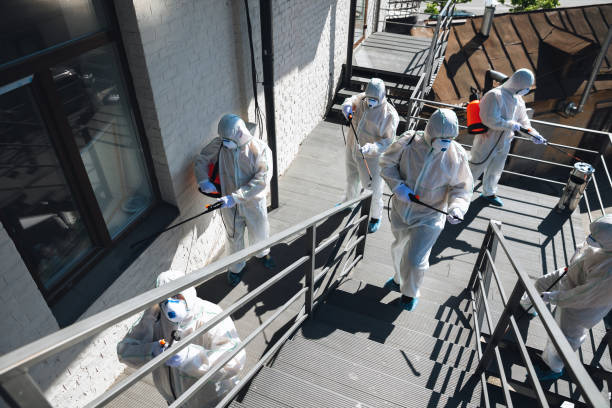 Best Residential Mold Inspection & Testing  in Hart, MI