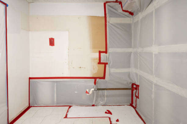 Best Environmental Consulting for Mold Prevention  in Hart, MI