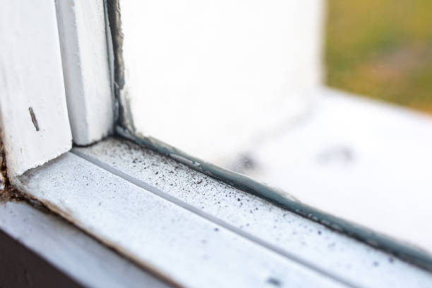 Best Real Estate Mold Inspection  in Hart, MI
