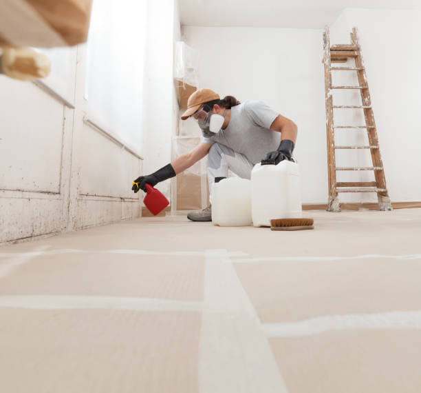 Biohazard Mold Removal in Hart, MI