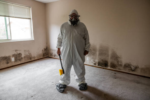 Best Biohazard Mold Removal  in Hart, MI